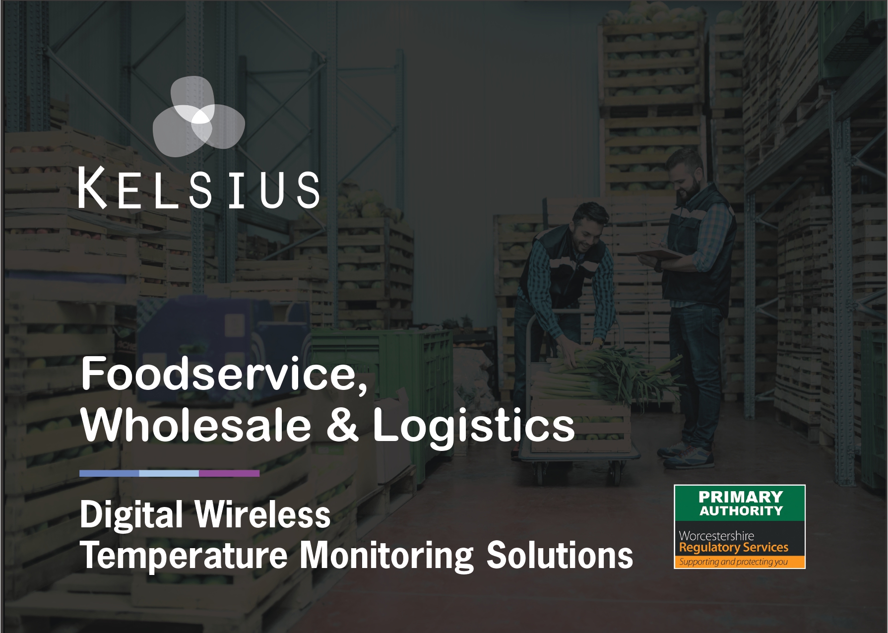 Foodservice-Wholesale-Logistics-UK-BROCHURE-2025_compressed_page-0001